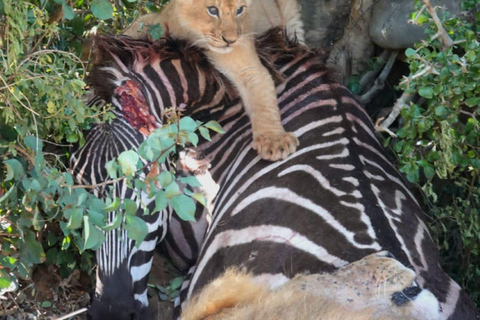 3-Day Amboseli National Park Safari Tour