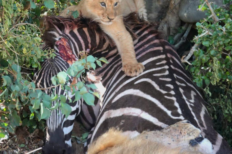 3-Day Amboseli National Park Safari Tour