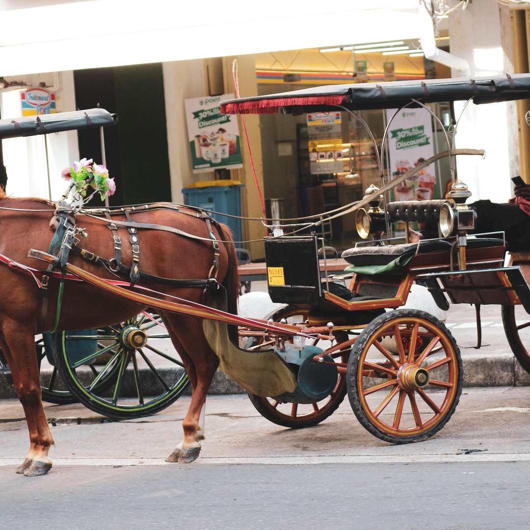 Fès : visite en calèche avec déjeuner ou dîner - medina