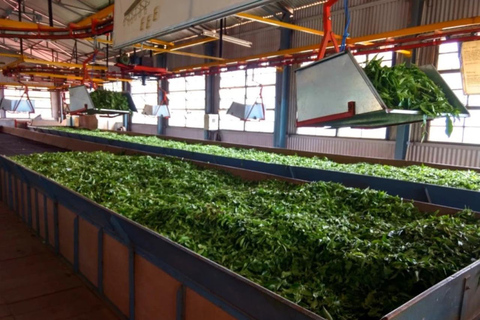 PASAR LA NOCHE EN MUNNAR DESDE KOCHI