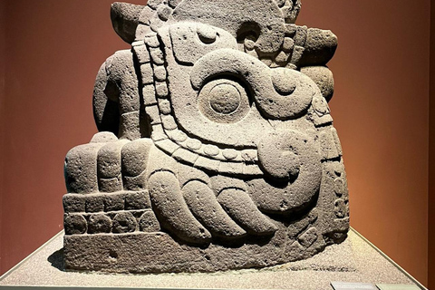 Mexico City: Anthropology Museum Tour with Archaeologist