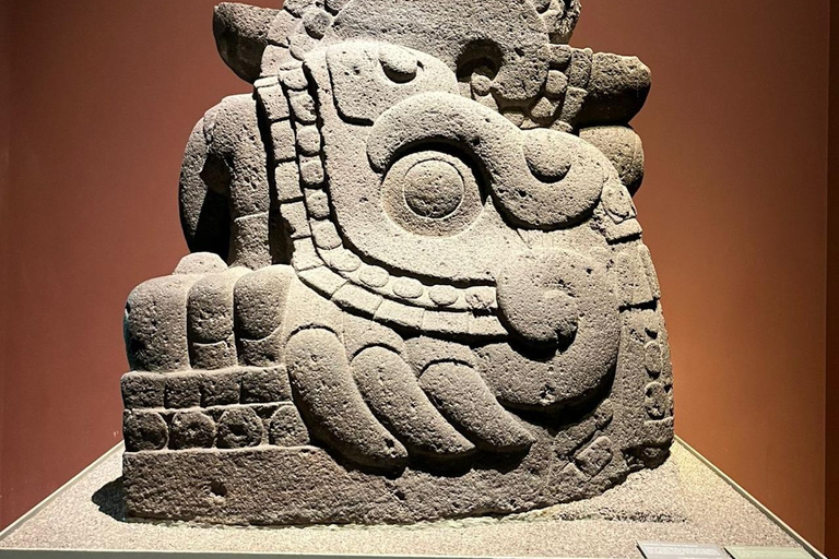 Mexico City: Anthropology Museum Tour with Archaeologist