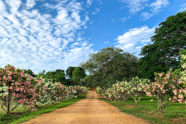 Los Santos, Panama: Wycieczka z przewodnikiem po Finca PamelPanama: Wycieczka z przewodnikiem po Finca Pamel