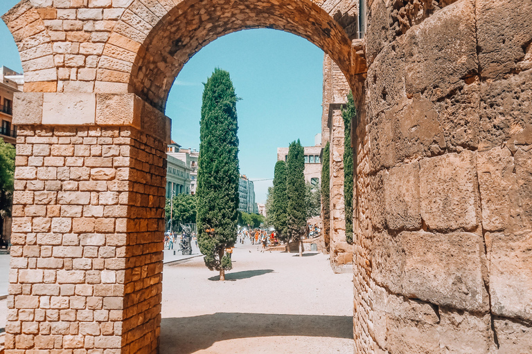 Barcelona: Introduction to the Gothic Quarter Walking Tour Private Tour (Max 20 Adults)