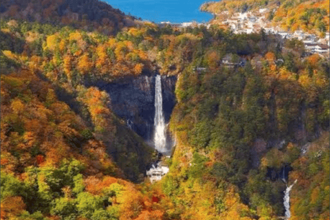 Da Tokyo, escursione privata di un giorno al lago Chuzenji e alle cascate di Kegan di Nikko