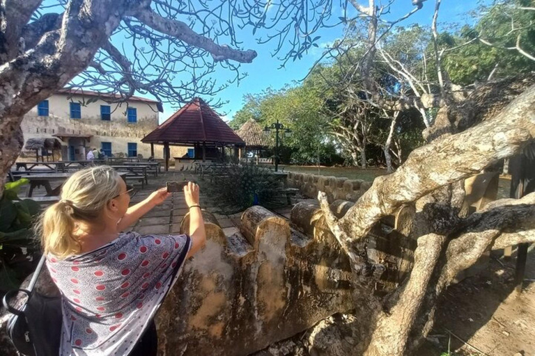 Zanzibar: Fängelseön och Nakupenda Sandbank Tour med lunchZanzibar: Fängelseön och Nakupenda Sandbank-tur med lunch