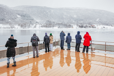 Tromsø: boottocht in fjord met hybride-elektrische catamaranTromsø: boottocht in fjord met elektrische catamaran