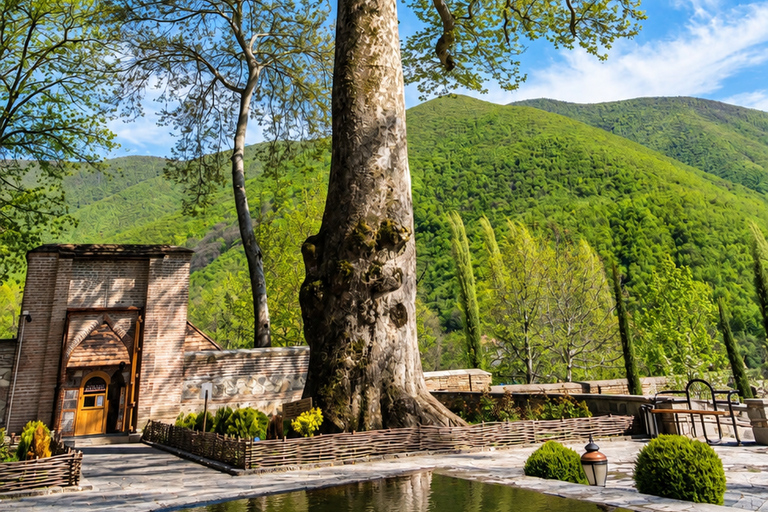 Find Your Luck: 2-Day Sheki Tour with Tree of Fortune Ritual