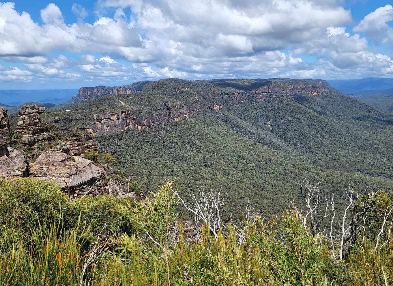 Fra Sydney: Blue Mountains-tur med vandfaldsvandring og frokost