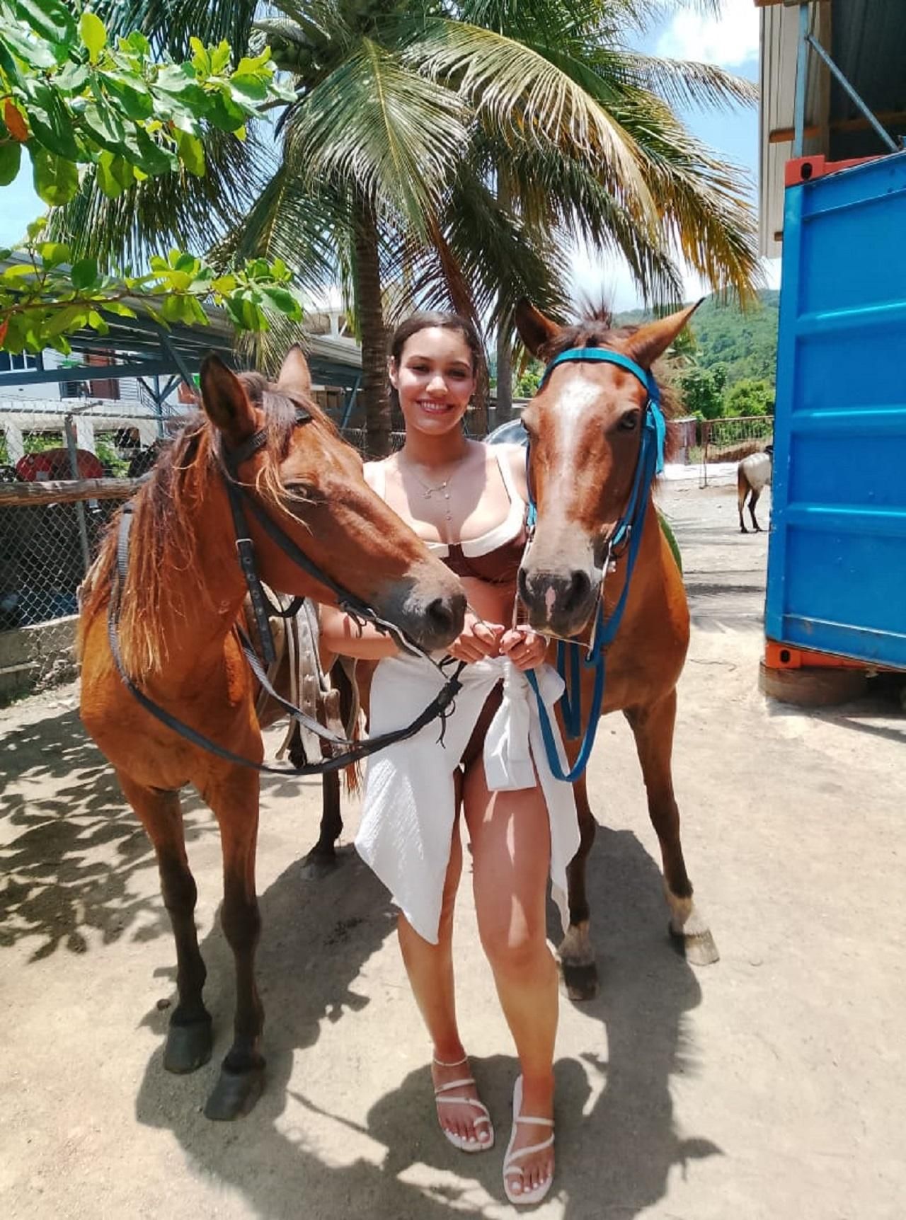 Puerto Plata: Abenteuer zu Pferd am Strand, auf dem Land und in der Stadt (Maimón)