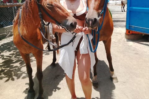 Puerto Plata: Horseback Adventure on the Beach, Countryside, and City (Maimón) Puerto Plata: Horseback Adventure on the Beach, in the Countryside, and in the City (Maimón)