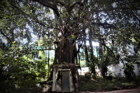 Maputo: City Tour with Historical and Cultural Highlights