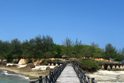 Zanzibar: tour privato di mezza giornata in Prison IslandCon ritiro negli hotel di Stone Town