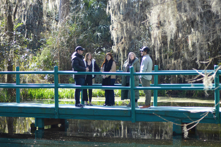 A Day at Magnolia Plantation