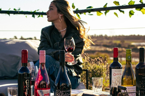 Braccobosca 酒庄之旅参观布拉科博斯卡酒庄并品尝特级葡萄酒