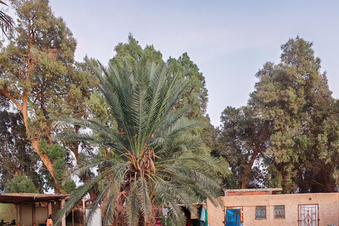 Djerba: Eine Nacht in Berberzelten.