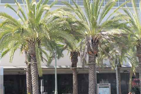 Los Angeles: South LA Black History Guided Driving Tour