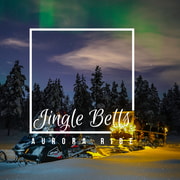 Jingle Bells Aurora Ride & Snowshoe Hike