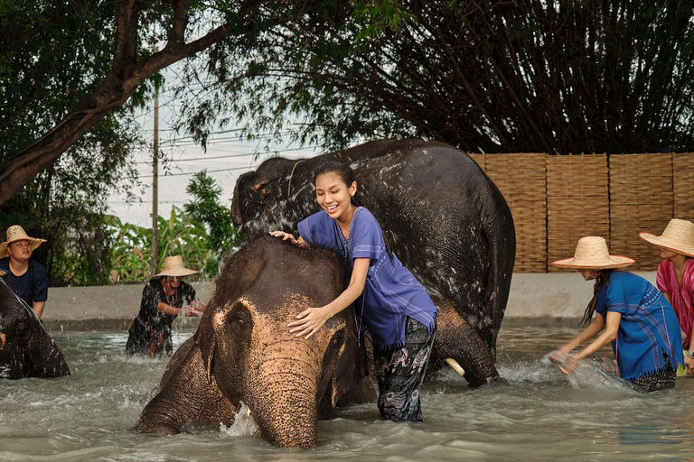 Parc des éléphants de Bangkok : expérience avec les éléphants en HD (sans transfert)HD Bangkok Elephant Care sans transfert