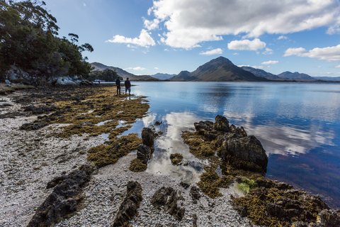 Hobart: vlieg en cruise in het zuidwesten van de wildernis met lunchTour met standaardtoegang