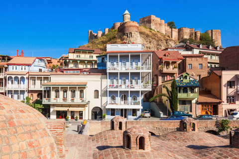 Tbilisi City Tour: Landmarks, Panoramic Views, Hidden Gems