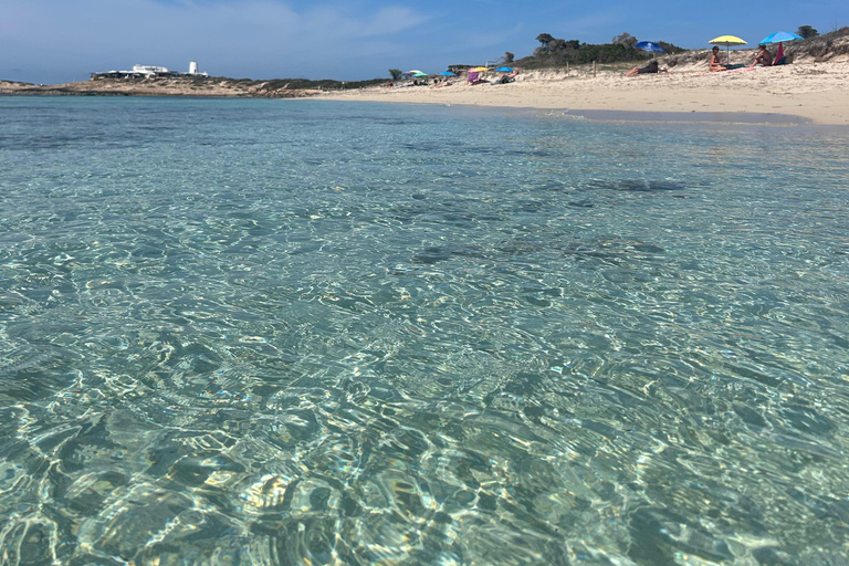 Formentera: Hidden Spots Tour in Land Rover Defender Formentera: Hidden Spots Tour in a Land Rover Defender