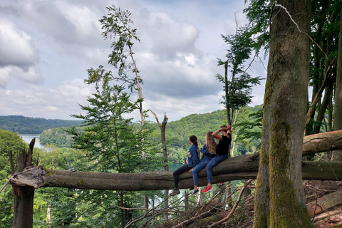 Łagów Landscape Park Horseriding Tour
