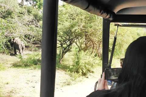 Safari dans le parc national de Yala depuis Colombo / Galle