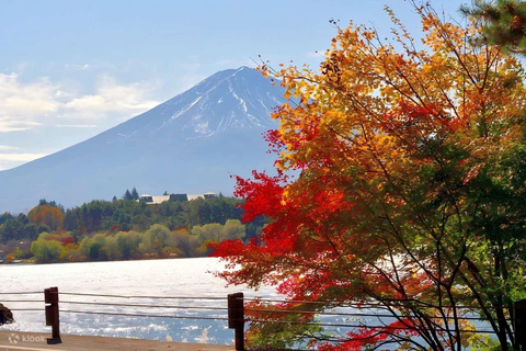 Tokyo: Full-day tour of the four Majestic spots of Mt Fuji