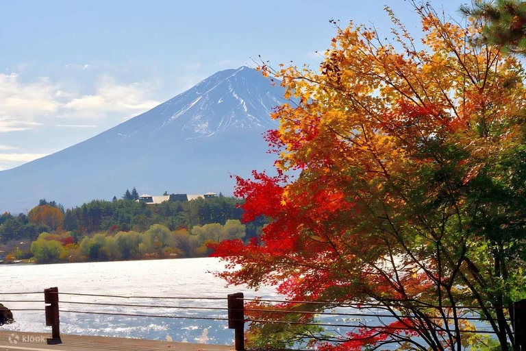 Tokyo: Full-day tour of the four Majestic spots of Mt Fuji