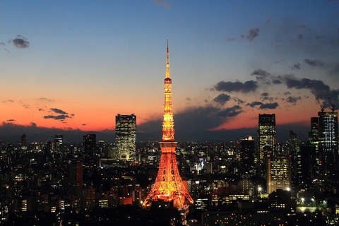 تجربة لقاء سيارات دايكوكو والمناظر الطبيعية الخلابة في طوكيو