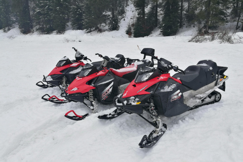 Snöskoter-, ATV- eller buggy-tur från Bukarest