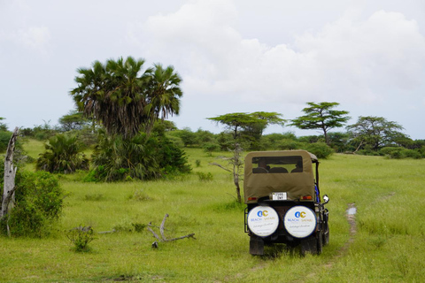 Depuis Zanzibar : Safari de nuit dans le Selous G.R. avec volssafari partagé