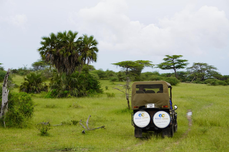 Z Zanzibaru: Safari w Selous G.R. z noclegiem i lotemwspólne safari