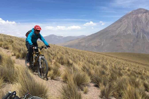 From Arequipa || Pichu Pichu Bike Tour || Half Day ||