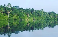 Tambopata Jungle 4days |Lodge |Cibo |Barca - Housity