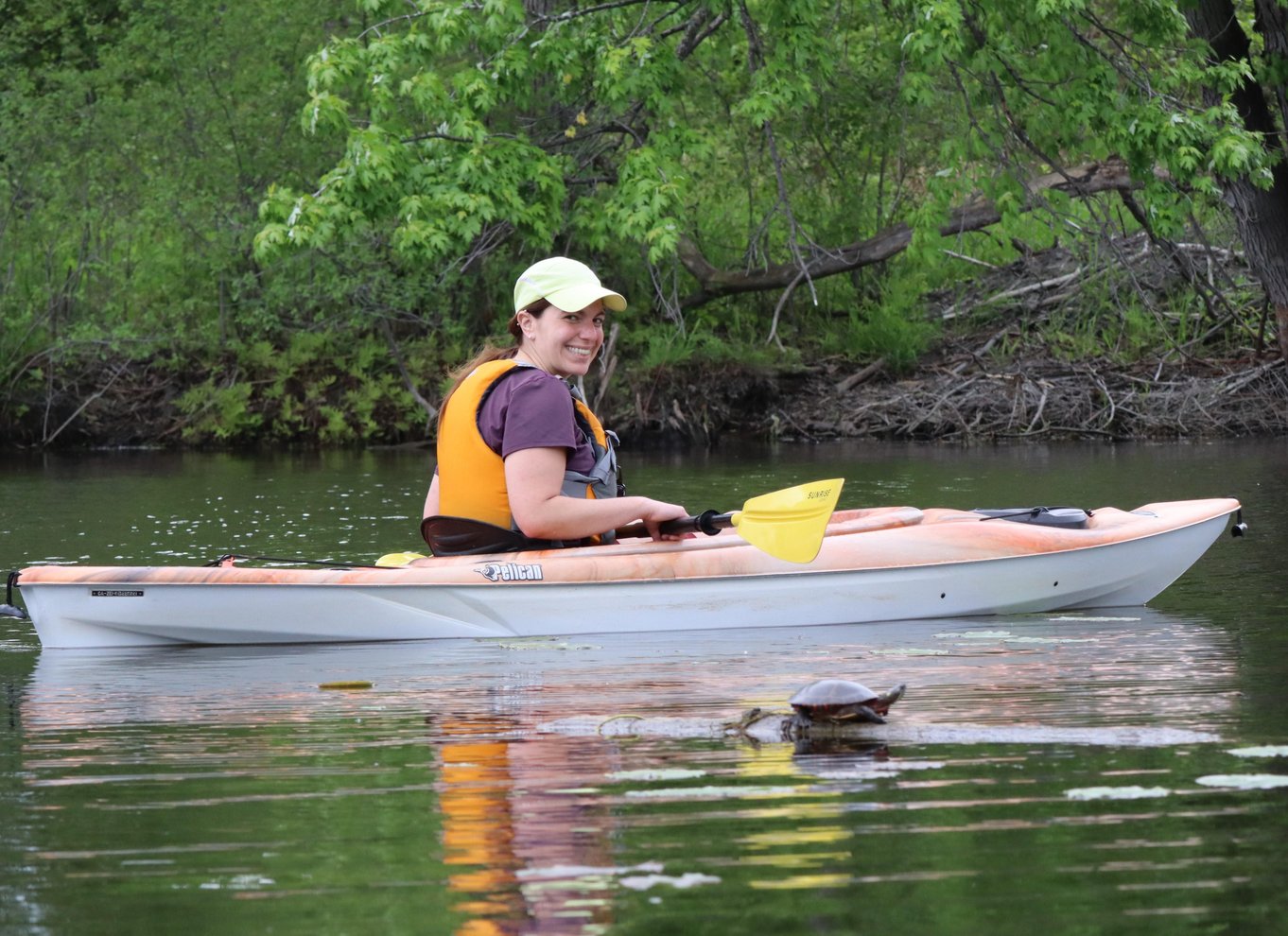 Ottawa: Kajaktur i økologisk reservat med skildpaddeobservationer