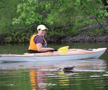 Ottawa: Passeio de caiaque pela Reserva Ecológica com observação de tartarugas