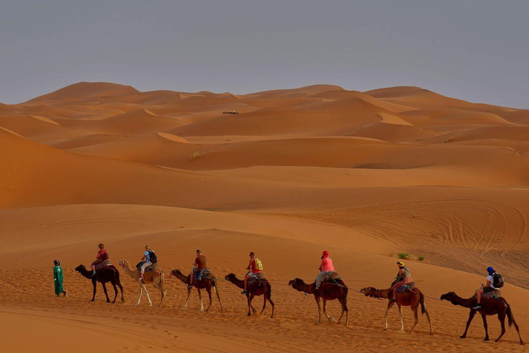 Doha: Dünen mit Buggy, Quad &amp; Kamelreise mit GuideDoha: Dünen mit Buggy, Quad &amp; Kamelritt mit Guide