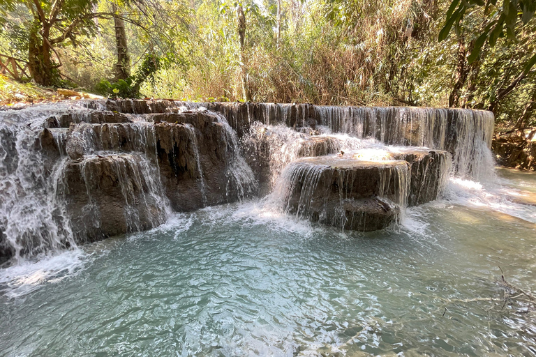 Luang Prabang: Almsgiving Ceremony and Kuang Si Falls Tour Private 1-2 pax