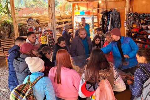 Cusco: Montagna Arcobaleno con pasti e Valle Rossa (facoltativo)