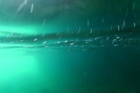 Naples: Posillipo Coast Snorkeling Cruise with Food & Drinks