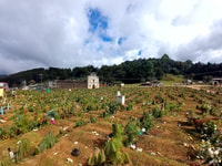 San Juan Chamula et Zinacantan Indigenous Villages Tour Villages - Housity