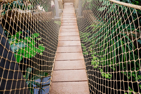 Day admission winter season egapark Erfurt: Winter season day pass for Egapark