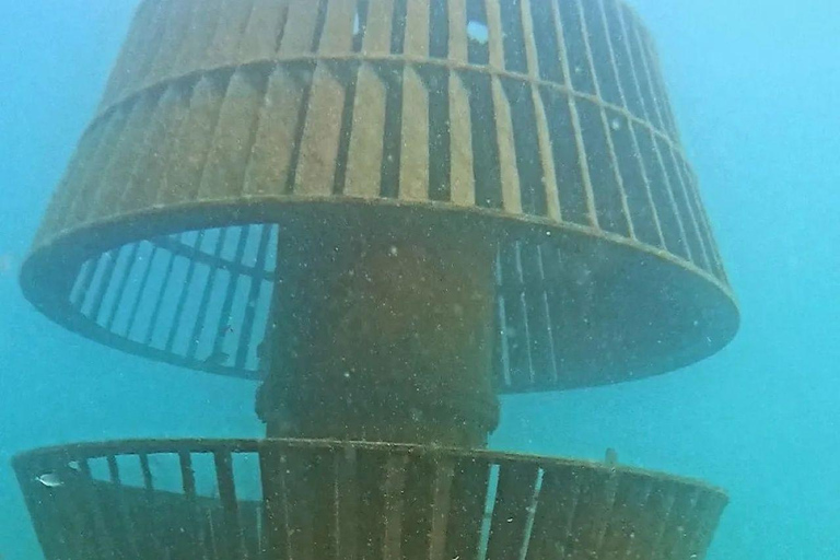 Albufeira: inmersión doble en el océano para buceadores certificadosAlbufeira: Buceo doble en el océano para buceadores certificados