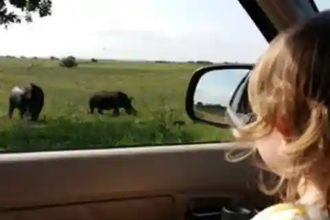 Hluhluwe-iMfolozi Park Big 5 Familje Safari Upplevelse