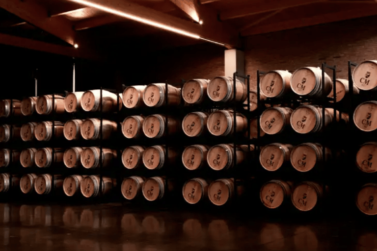 La Rioja: CM Matarromera Winery Tour
