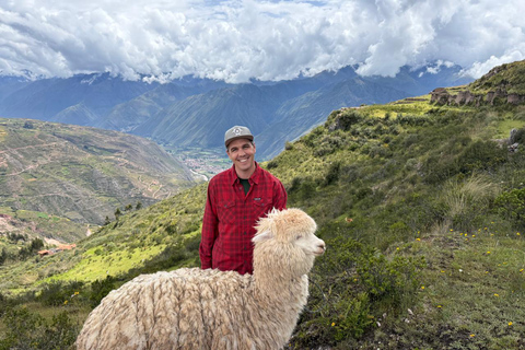 Cusco, Chinchero: Overnight Dome Stay and Walk with Alpacas