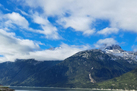 From Skagway: White Pass Summit Guided Bus Tour