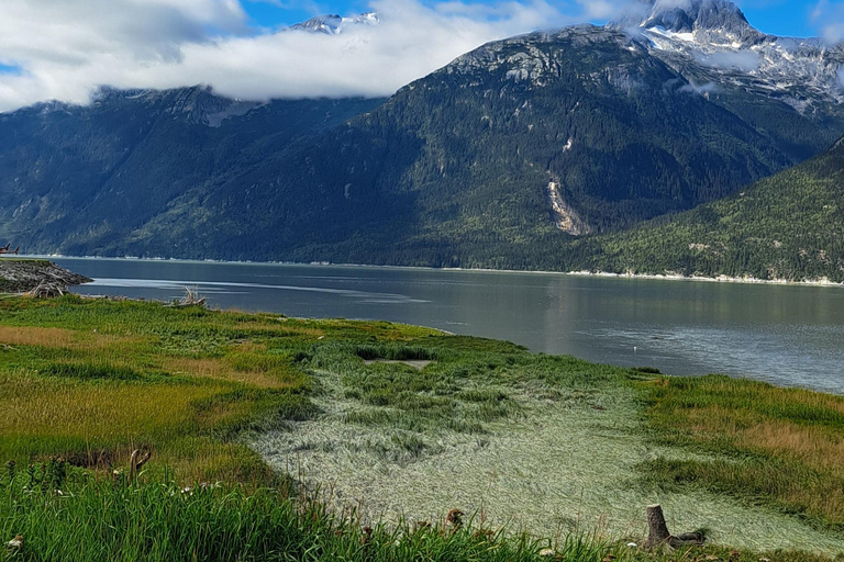 From Skagway: White Pass Summit Guided Bus Tour